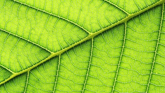 ISO 14001 - EMASISO 14001 - EMAS